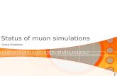 Status of muon simulations