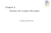 Chapter X         Kinetics of Complex Reactions