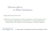 Discrete effects           in Wave Turbulence