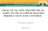 PRACTICAL AND THEORETICAL ASPECTS OF SULPHUR DIOXIDE PRODUCTION AND CONTROL