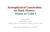 Astrophysical Constraints on Dark Matter:  Warm or Cold ?