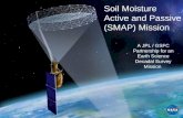 A JPL / GSFC Partnership for an Earth Science Decadal Survey Mission