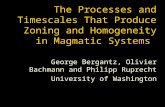 The Processes and Timescales That Produce Zoning and Homogeneity in Magmatic Systems