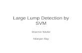 Large Lump Detection by SVM