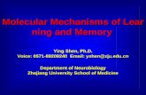 Molecular Mechanisms of Learning and Memory Ying Shen, Ph.D.