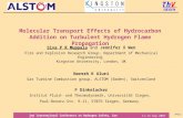 Molecular Transport Effects of Hydrocarbon Addition on Turbulent Hydrogen Flame Propagation