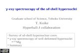 g -ray spectroscopy of the  sd -shell hypernuclei