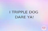I TRIPPLE DOG  DARE YA!