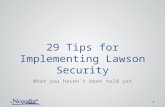 29 Tips for Implementing Lawson Security