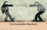 Contestable Markets