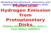 Molecular Hydrogen Emission from Protoplanetary Disks