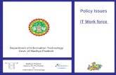 Policy Issues  IT Work force