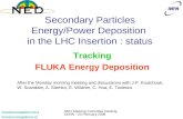 Secondary Particles Energy/Power Deposition  in the LHC Insertion : status