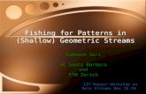 Fishing for Patterns in (Shallow) Geometric Streams