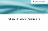 CCNA  4  v3. 1  Module 3