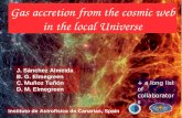 Gas accretion from the cosmic web in the local Universe