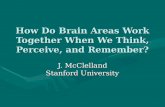 How Do Brain Areas Work Together When We Think, Perceive, and Remember?