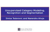 Unsupervised Category Modeling, Recognition and Segmentation