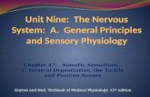 Unit Nine:  The Nervous System:  A.  General Principles and Sensory Physiology