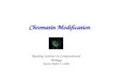 Chromatin Modification