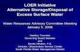 LOER Initiative Alternative Storage/Disposal of Excess Surface Water