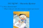 DO NOW – Bacteria Review
