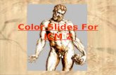 Color Slides For ICM 2