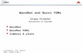 WaveMon and Burst FOMs Sergey Klimenko University of Florida WaveMon WaveMon FOMs Summary & plans