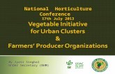 Vegetable Initiative  for Urban Clusters & Farmers’ Producer Organizations