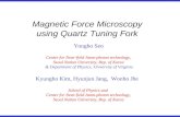 Magnetic Force Microscopy  using Quartz Tuning Fork