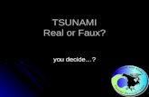 TSUNAMI Real or Faux?