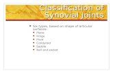 Classification of Synovial Joints