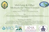 Mulching & Other  Methods for Weed Control
