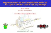 Measurement of the Amplitude Ratio of   B 0   J/   K *0 to  B 0   J/   K *0  (K +  - ) decays