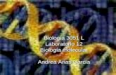 Laboratorio No. 12 Biolog í a molecular Instructora Andrea Arias Garcia