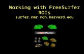 Working with FreeSurfer ROIs surfer.nmr.mgh.harvard