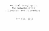 Medical Imaging in Musculoskeletal Diseases and Disorders