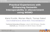 Practical Experiences with Enhancing Semantic Interoperability in eGovernment using WSMO