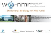 Structural Biology on the Grid