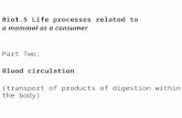 Bio1.5 Life processes related to  a mammal as a consumer Part Two: Blood circulation