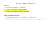 Metabolism Lectures
