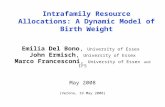 Intrafamily Resource Allocations: A Dynamic Model of Birth Weight