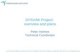 SYSVAK Project:  overview and plans