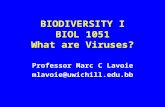 BIODIVERSITY I BIOL 1051 What are Viruses?