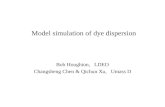 Model simulation of dye dispersion