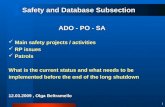Safety and Database Subsection ADO - PO - SA Main safety projects / activities  RP issues