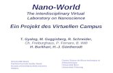 Nano-World The interdisciplinary Virtual  Laboratory on Nanoscience