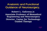 Anatomic and Functional Guidance of Neurosurgery.
