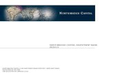 Northbridge Capital investment bank profile