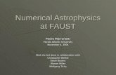 Numerical Astrophysics at FAUST